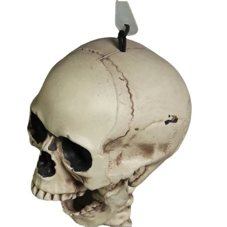 Full-size 170cm tall plastic skeleton skull prop displayed upright