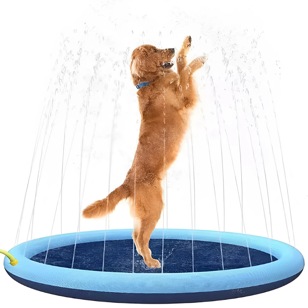 Large blue anti-slip dog splash pad pool with inflated sides in a garden.