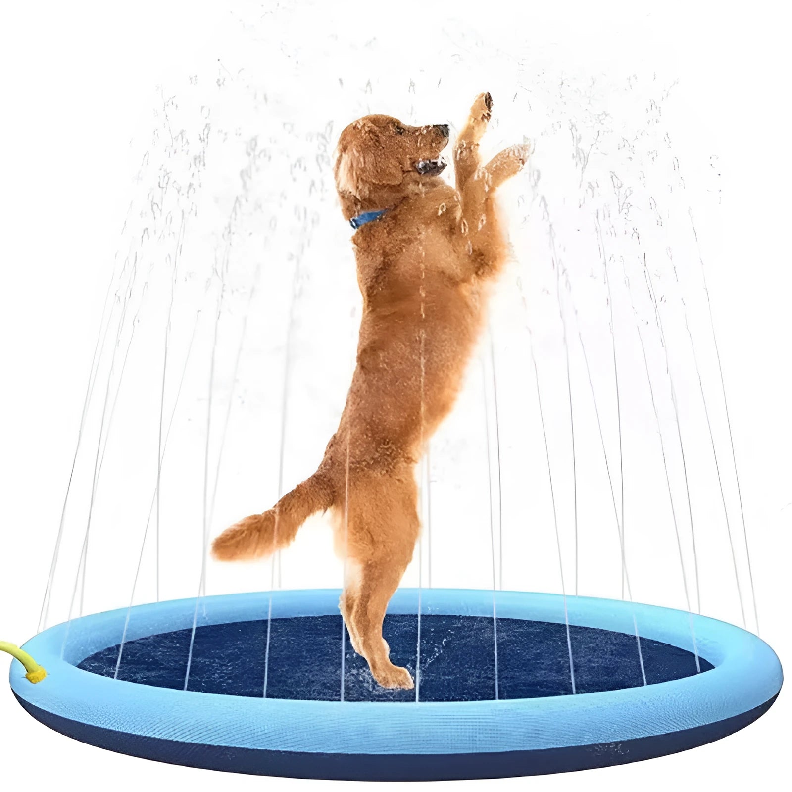 Large blue anti-slip dog splash pad pool with inflated sides in a garden.