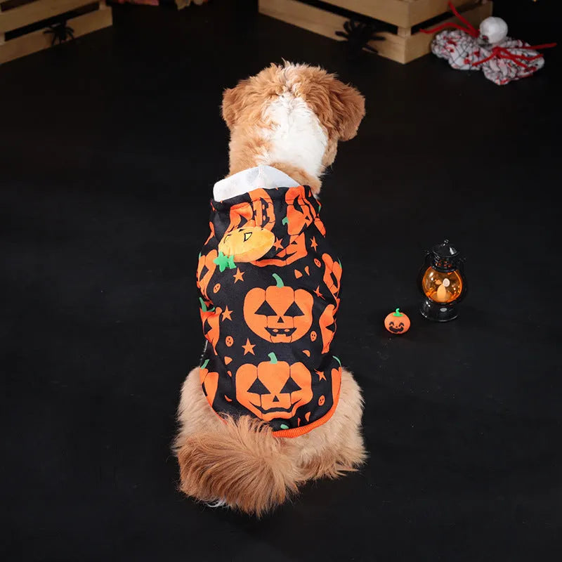 Orange polyester pumpkin sweater for dog or cat in a festive autumn pose