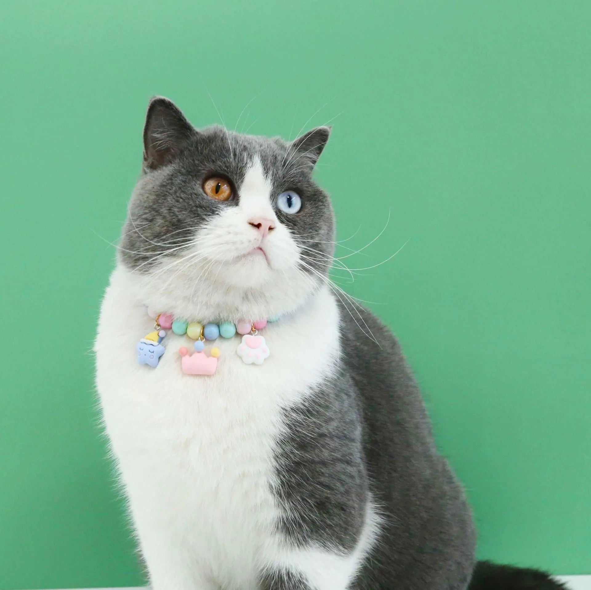 Colourful resin pet collar and bracelet set in macaron colours with pearl and dream moon decorations