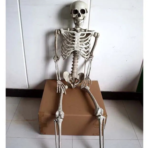 Full-size 170cm tall plastic skeleton skull prop displayed upright