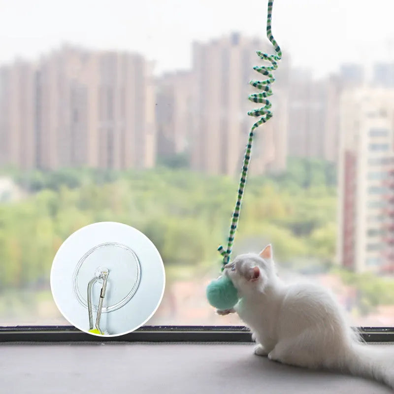 Kitten playing with hanging spring toy featuring inflatable ball and suction cup mount in various colours