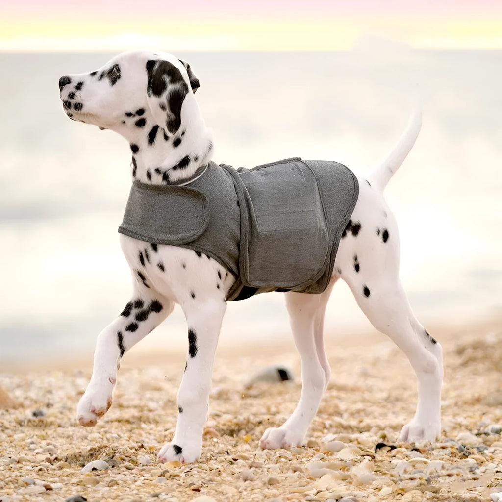 Heather grey brocade cotton dog anxiety jacket vest sized for dogs from under 4kg to over 50kg.