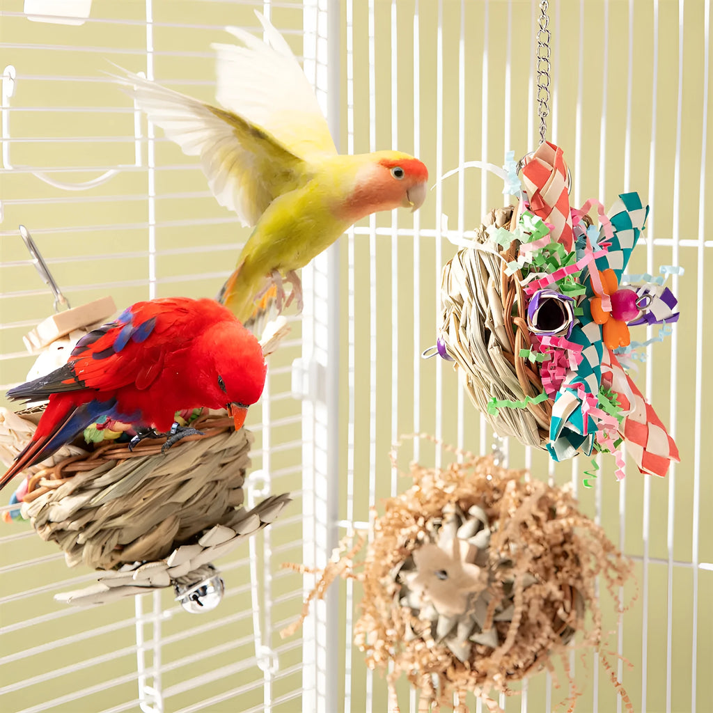 Set of three bird chewing toys for parrot gnawing and molar activities