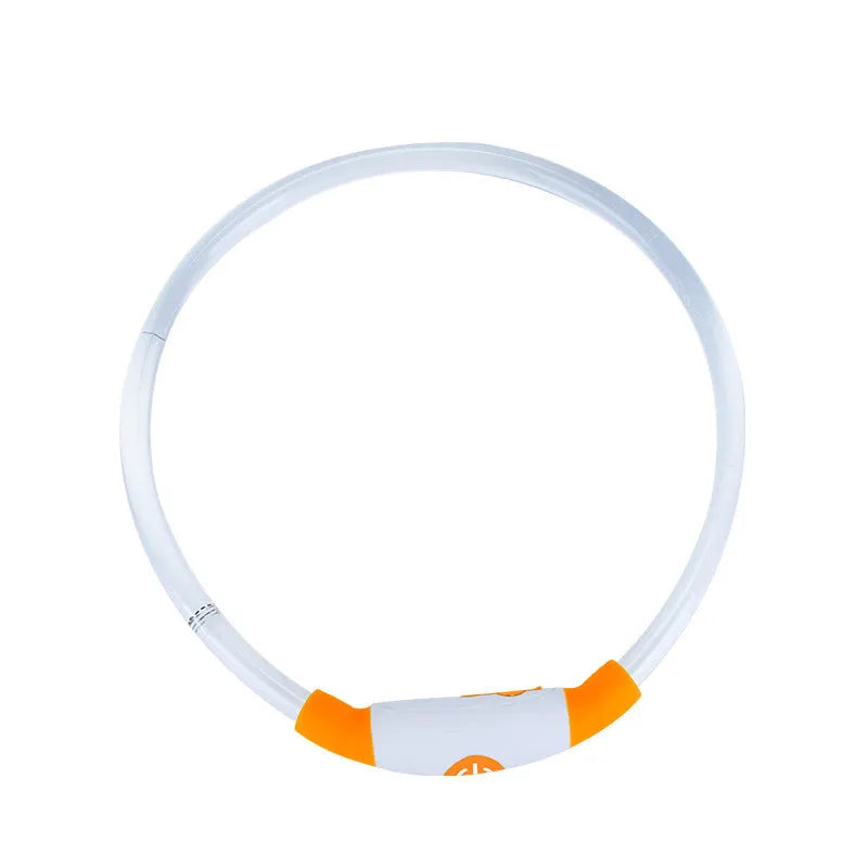 Blue USB rechargeable LED dog collar glowing on a dog's neck at night