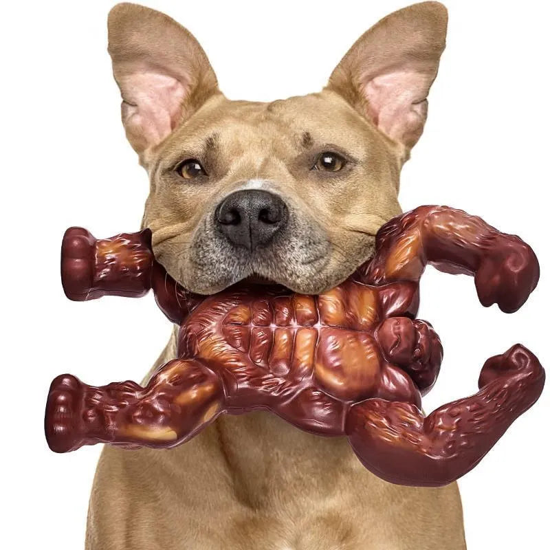 Scarlet-coloured nylon dog chew toy with beef flavour measuring 10.7x17.2x5 cm for molar nibbling