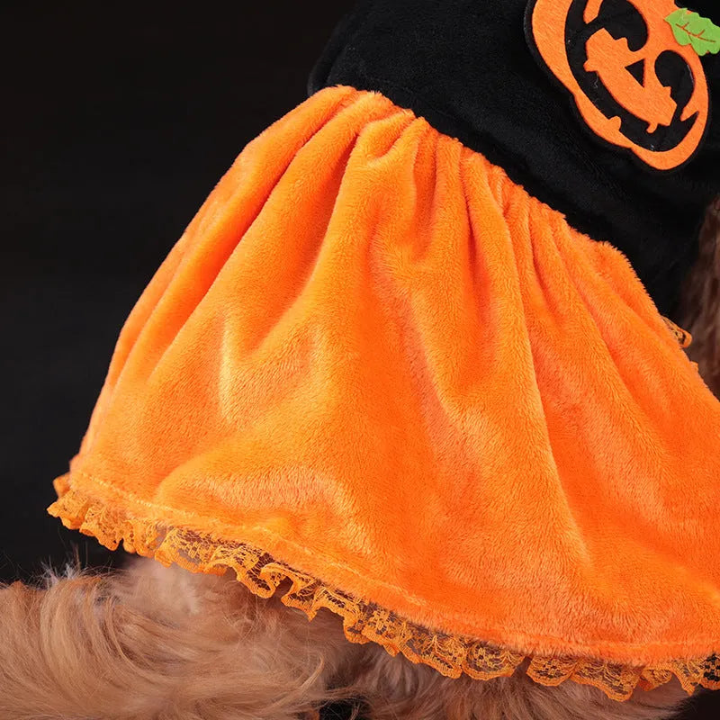 Halloween pumpkin skirt pet costume in crystal velvet material for dogs and cats