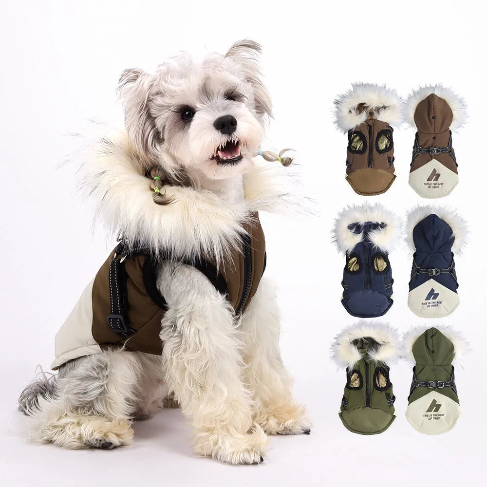 Velvet cold protection pet dog vest in sapphire blue for small breeds Teddy and Bichon