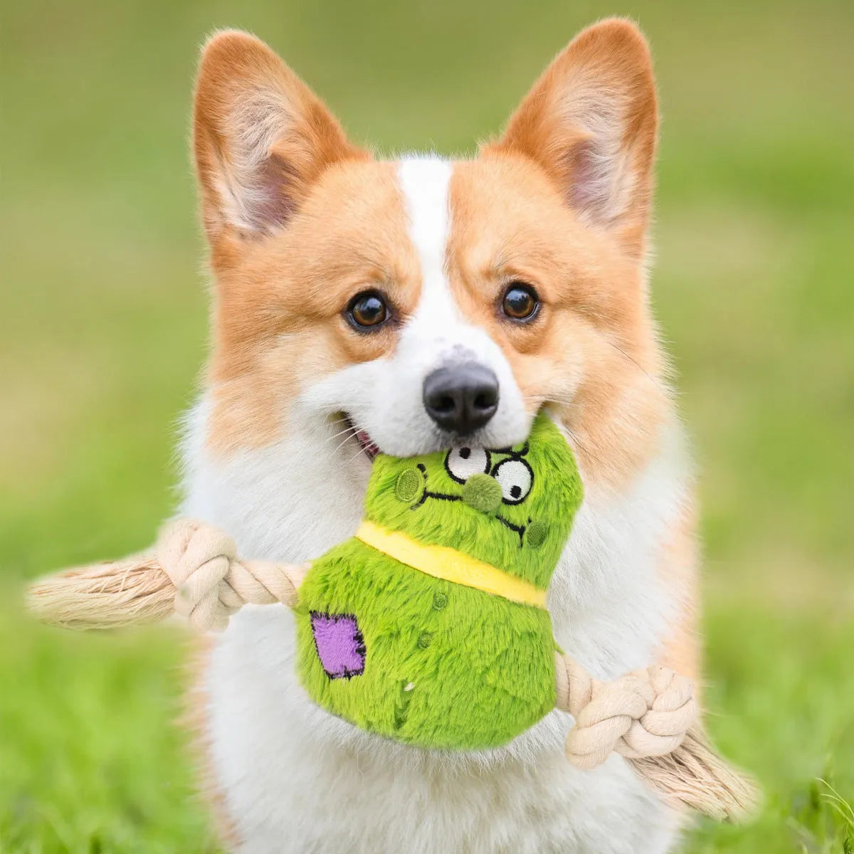 Green and purple interactive dog toy with plush centre and knotted rope tug-of-war arms