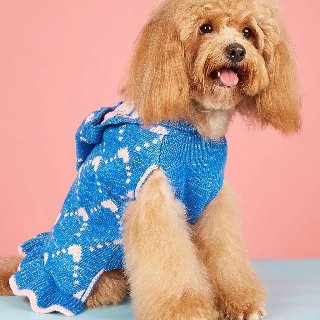 Small dog wearing blue knit sweater hoodie dress with heart motif on front