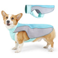 Light grey breathable polyester dog cooling vest for heatstroke prevention on a medium-sized dog.