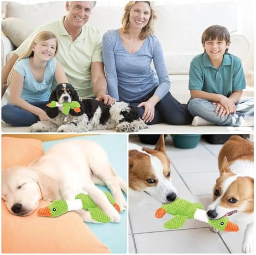 Green blue or grey durable plush duck dog chew toy with squeaker, 33 cm long.