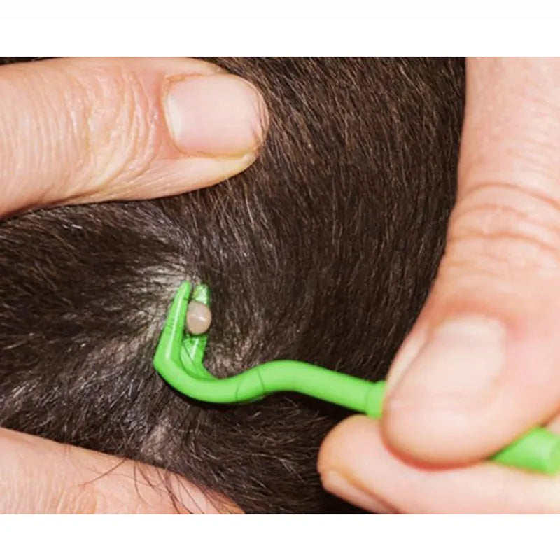 Three plastic tick removal hooks for pets in blue or green colours with alcohol application instructions