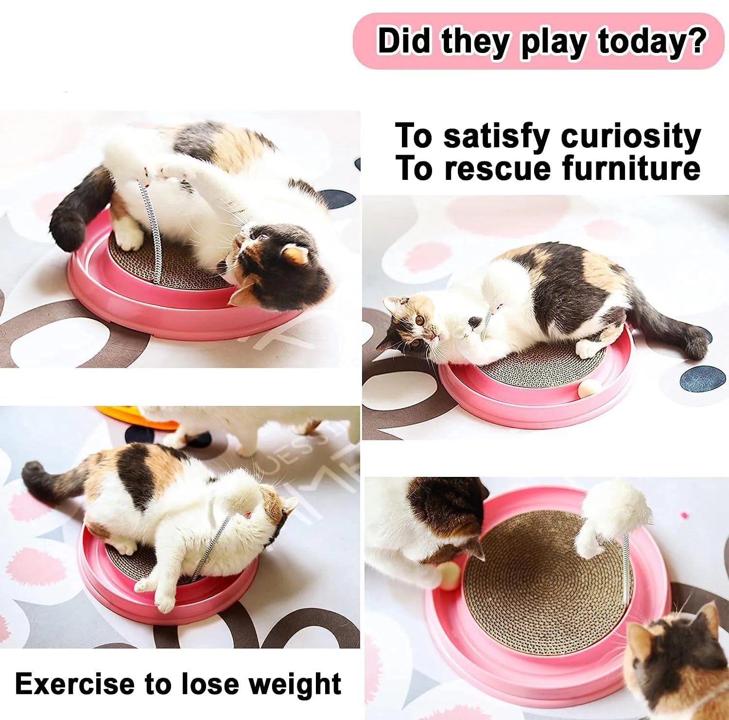 Blue interactive cat scratcher toy with round corrugated cardboard pad and rolling ball in track.