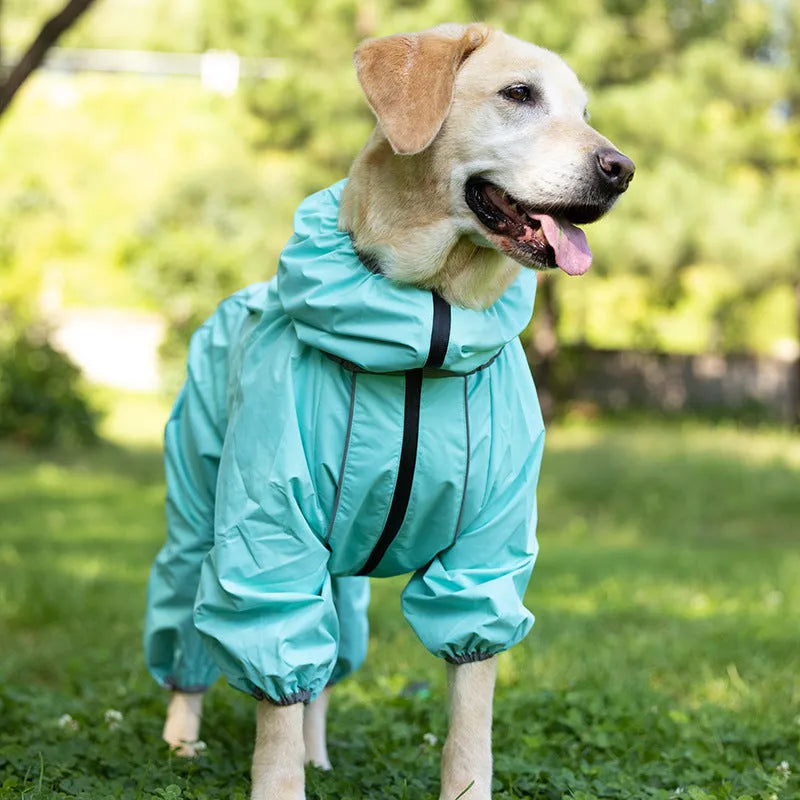 Dog wearing a padded polyester dog jacket in a sports-style design, available in multiple colours and sizes from M to XXXXL