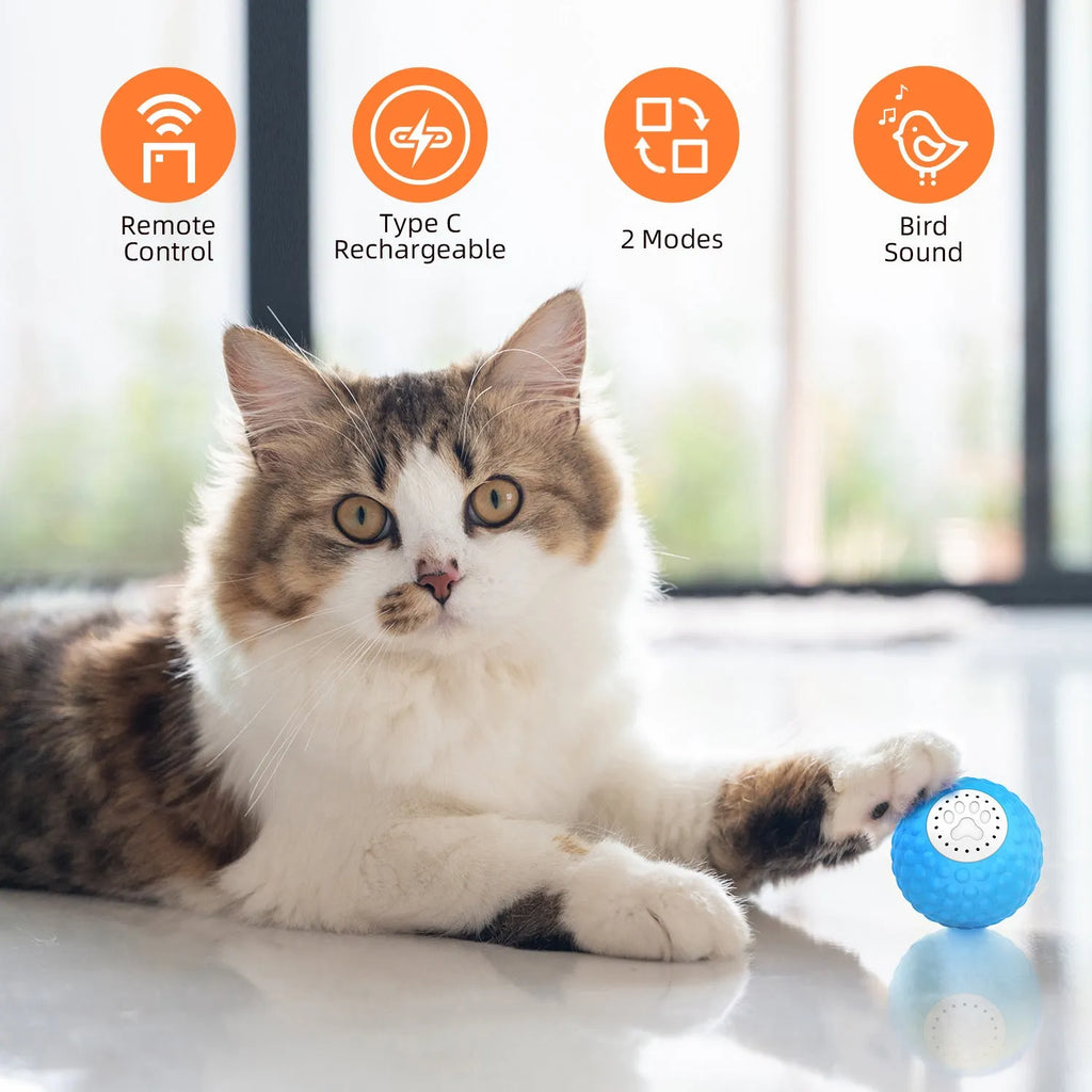 Remote control cat toy ball with flashing lights in blue, green and yellow colour options