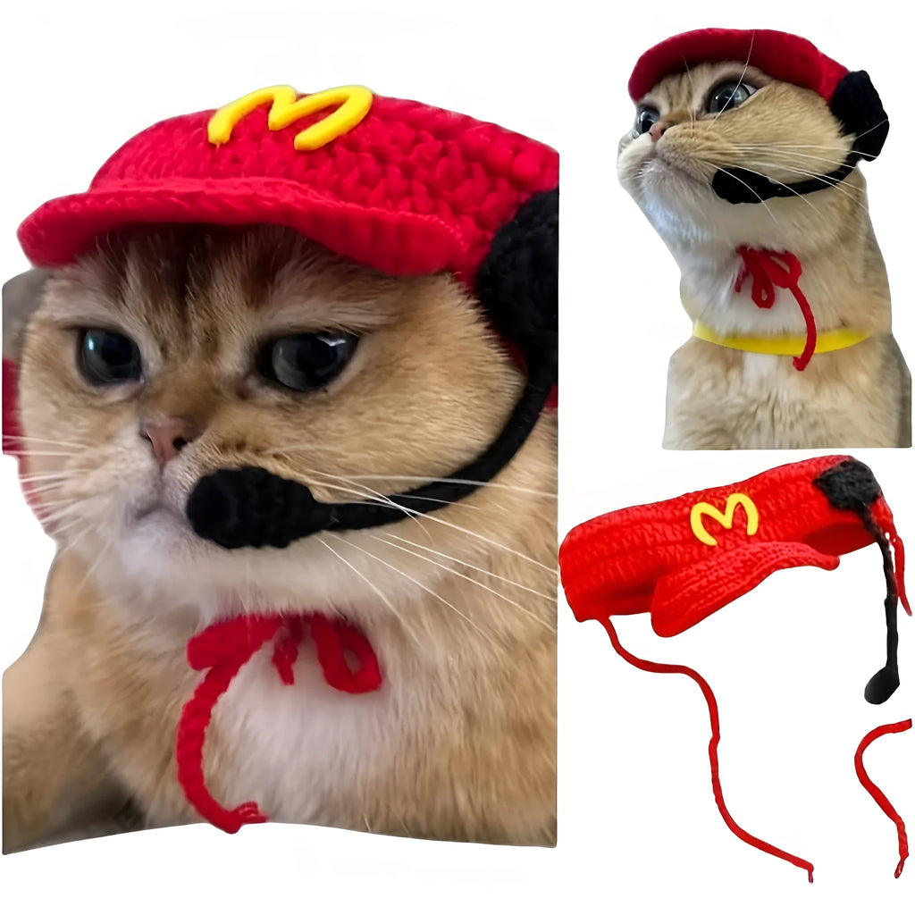 Handmade cotton knitted sweater and chef hat outfit for a small cat wearing a birthday costume.