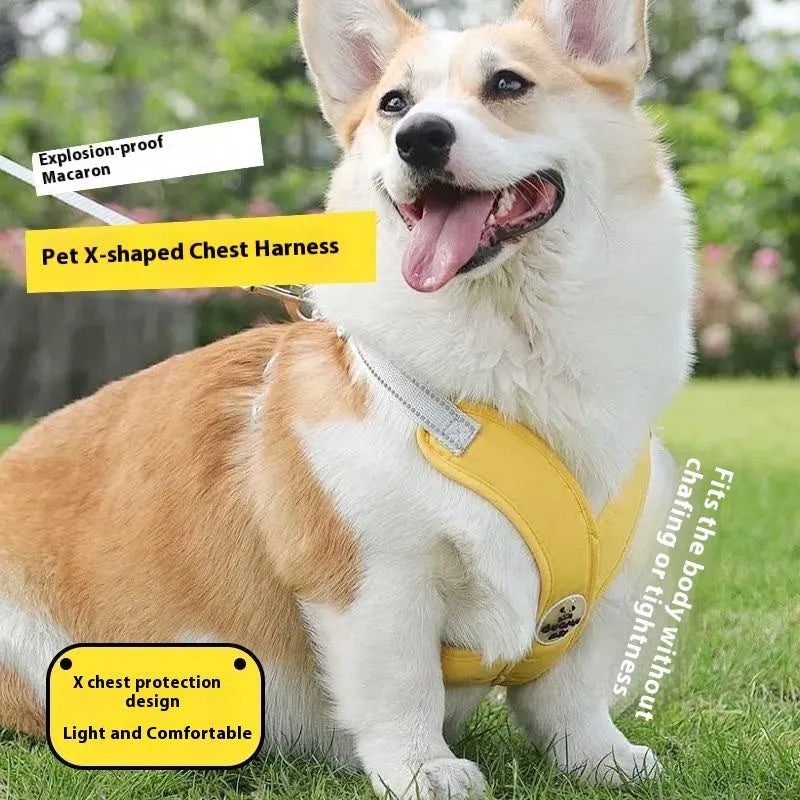 Adjustable polyester pet vest harness with hand holding rope in blue, green, pink or yellow colours