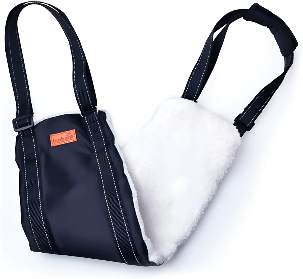 Portable dog sling supporting hind legs, with adjustable reflective straps and soft lining.