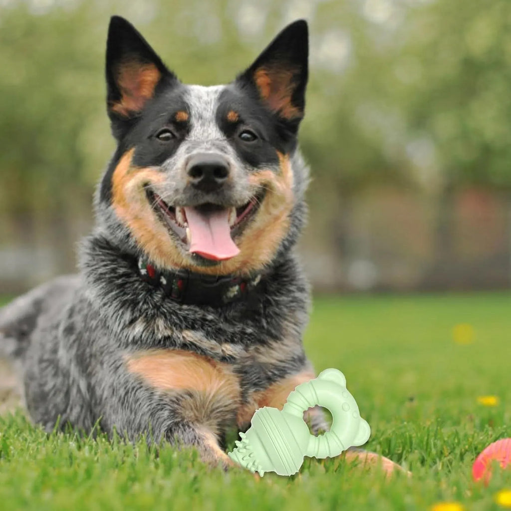 Blue rubber dog chew toy with textured surface for cleaning teeth, shown next to a measuring tape indicating 13.5 cm size.