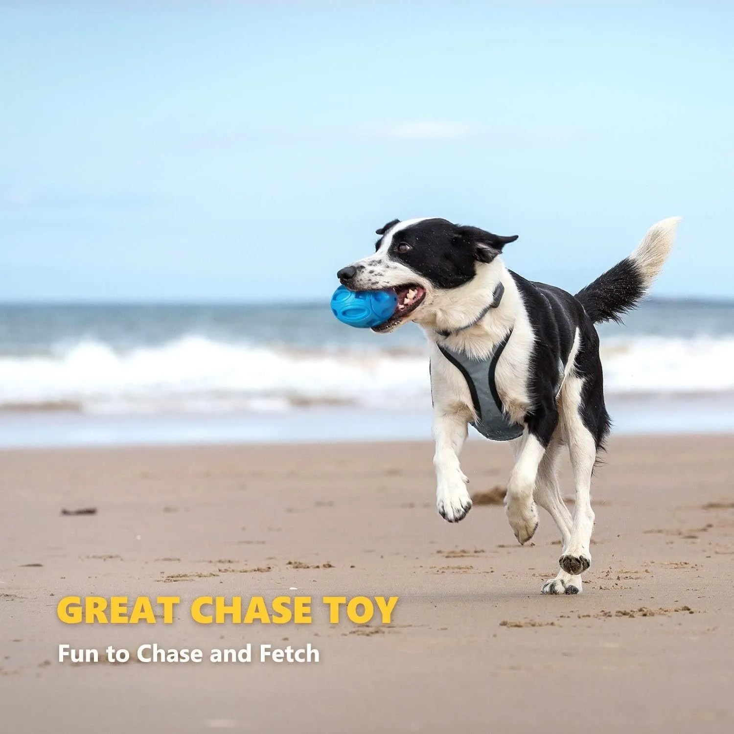 Blue, green, and orange rubber squeaky dog chew ball with grooved surface for medium and large breeds.