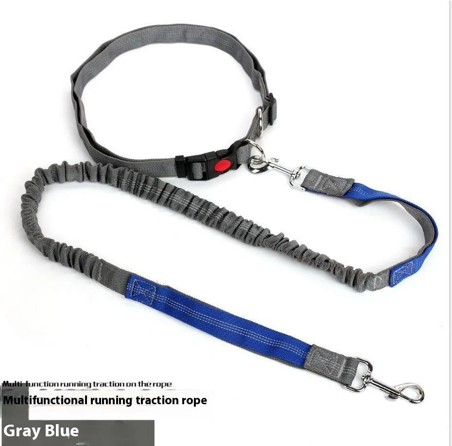 Grey and blue elastic dog leash with reflective sling for outdoor running.