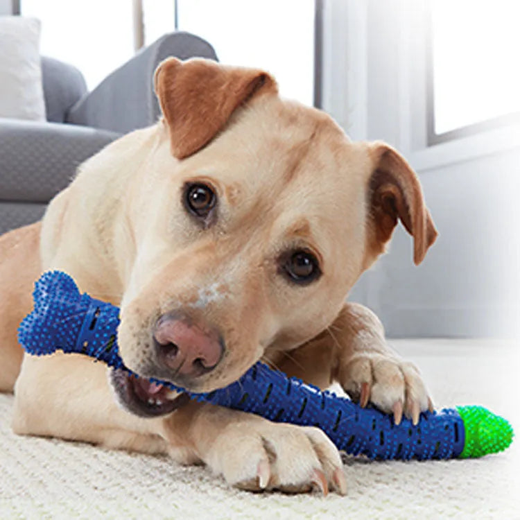 Blue and green silicone dog dental chew stick with textured cleaning surface and nodules for gum massage.