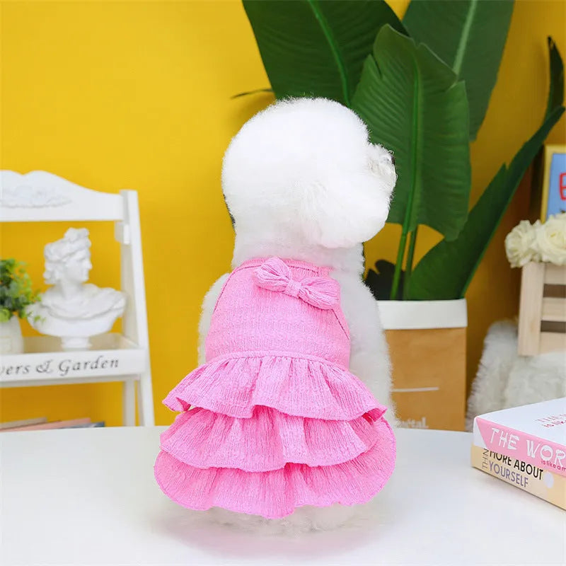Small dog wearing princess dress with candy layered skirt in rose red colour, designed for thin teddy bichon breeds