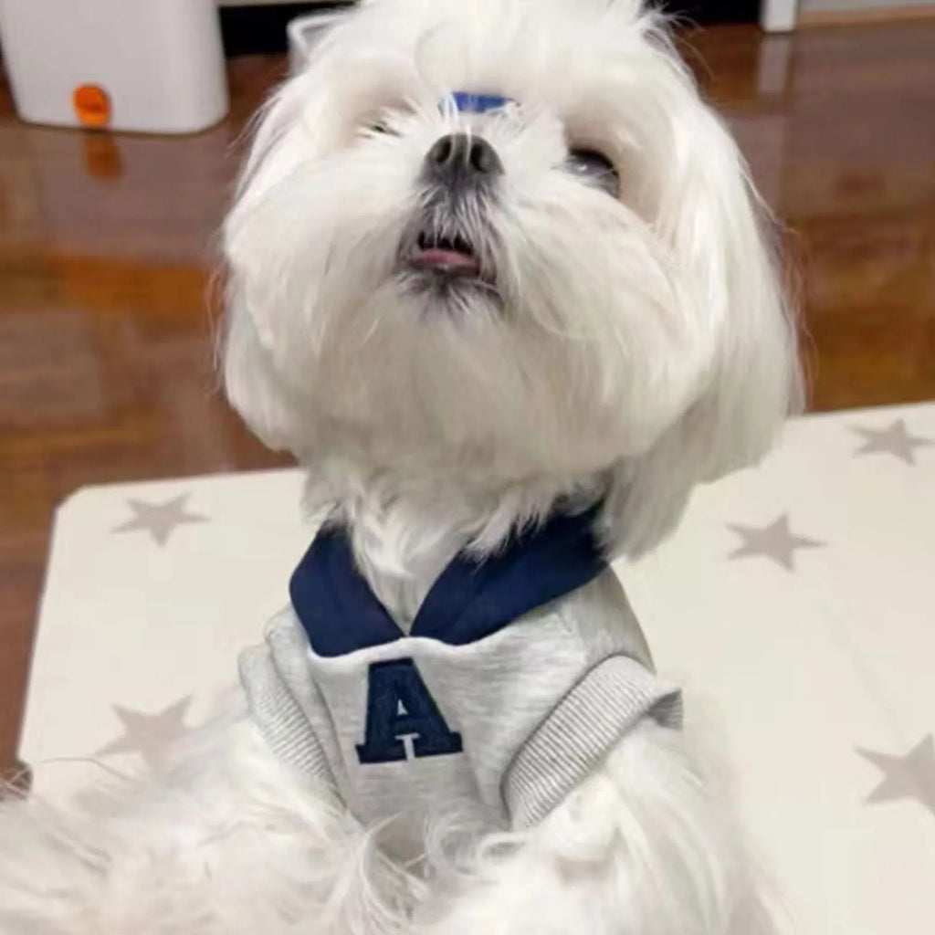 Blue slim-fit pet hoodie with reflective letters on a dog, showing the casual style and safety feature.