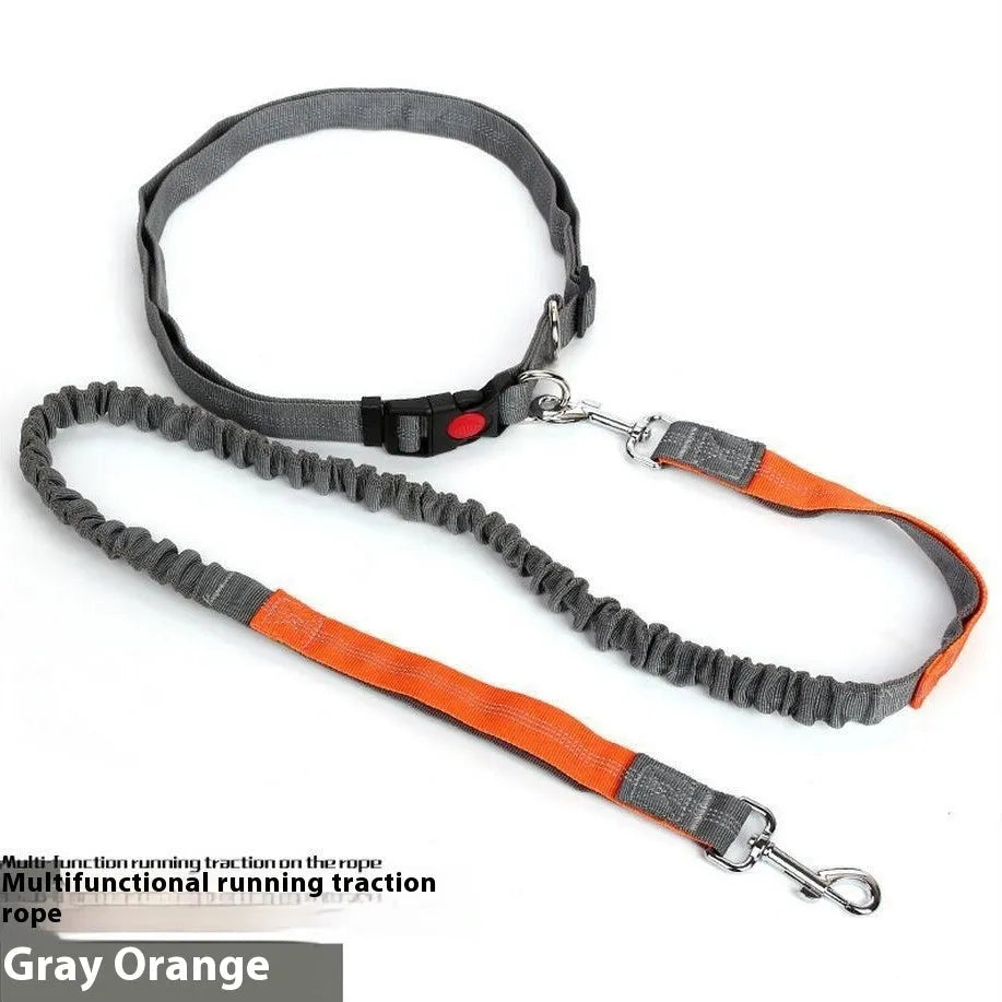 Grey and blue elastic dog leash with reflective sling for outdoor running.