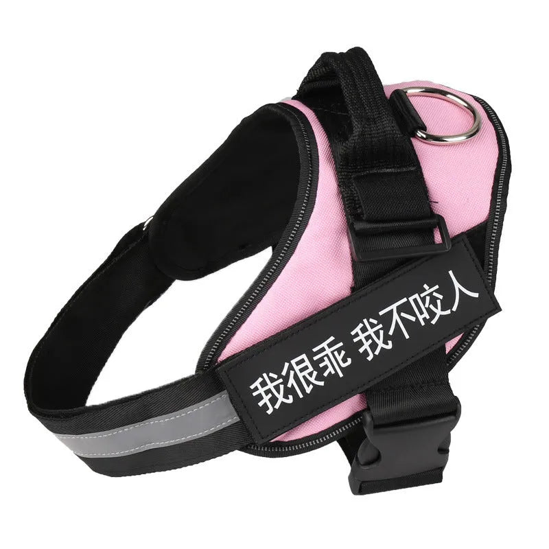 Purple adjustable nylon dog chest harness with leash on a white background