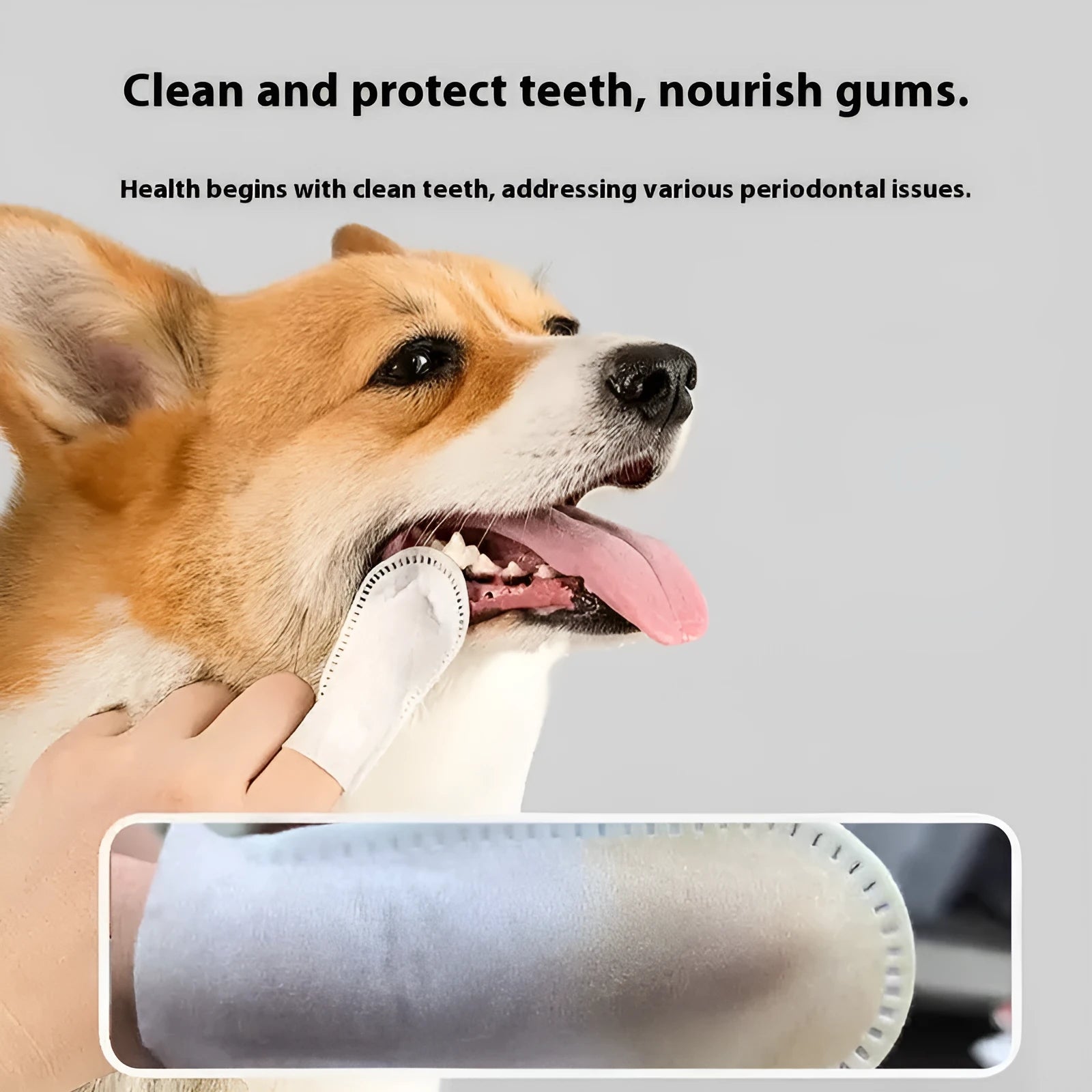 Pack of 50 white non-woven fabric pet dental cleaning finger stalls