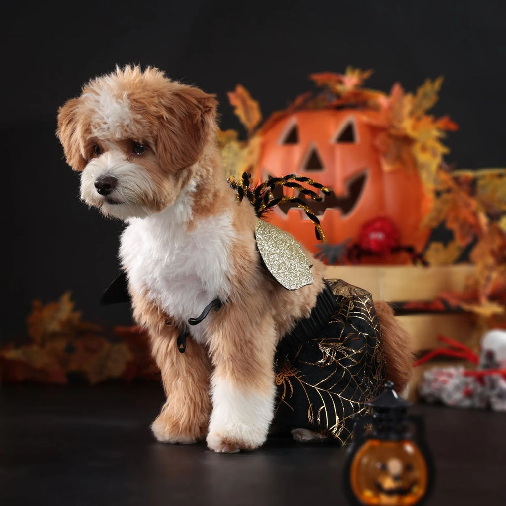 A dog wearing a colourful polyester Halloween suit costume, shown in size S, M, L, or XL.