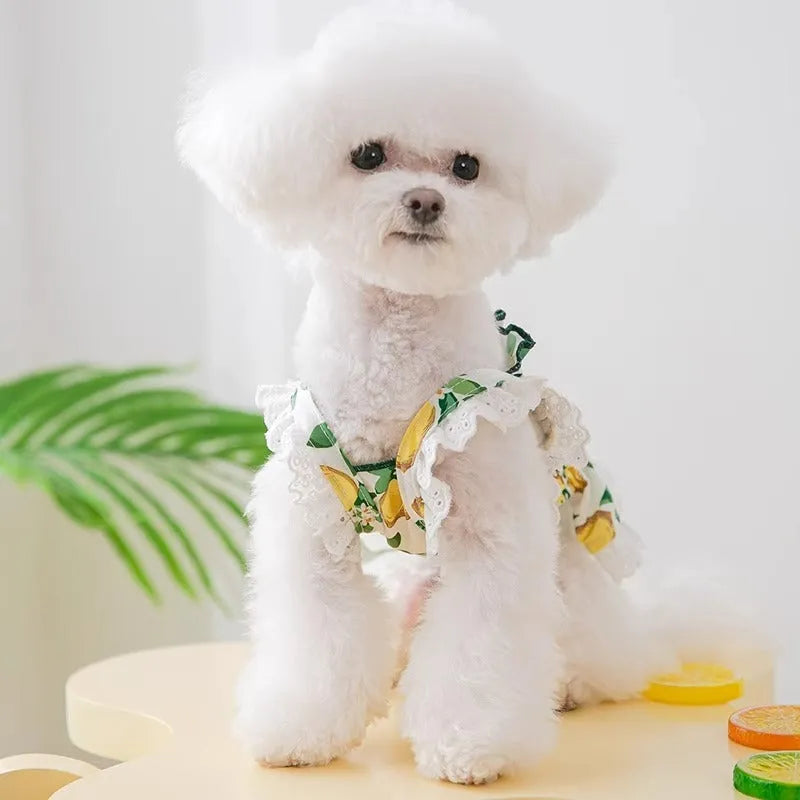 Rock yellow lemon polyester dog dress with strap skirt design for small to medium dogs