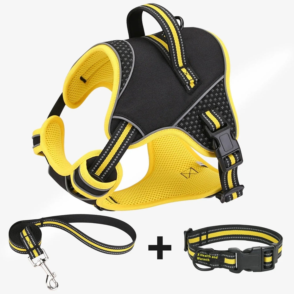 Yellow and orange polyester dog harness and leash set shown in small, medium, and large sizes.