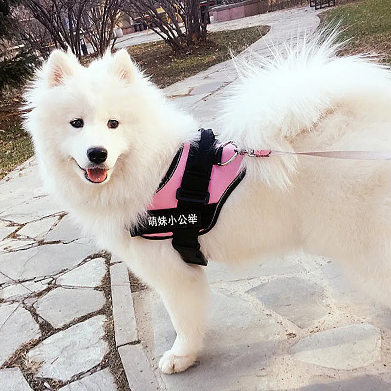 Purple adjustable nylon dog chest harness with leash on a white background
