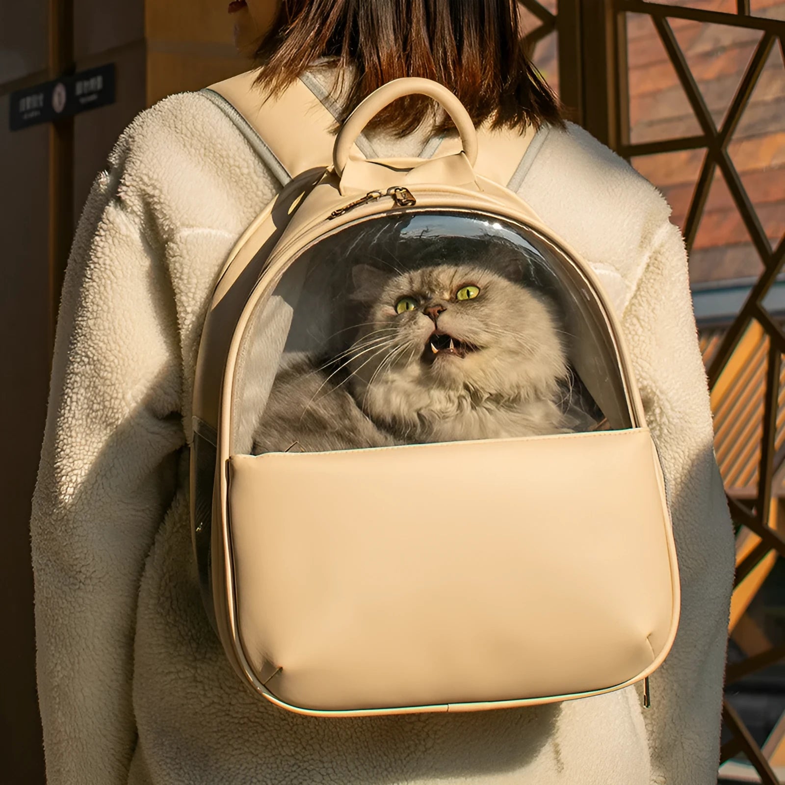 Fine grain leather transparent pet backpack carrier in beige with pet inside, front view