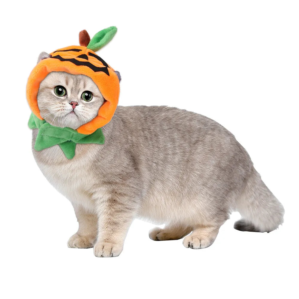 Orange plush Halloween pumpkin cloak for a dog or cat, shown in size M.