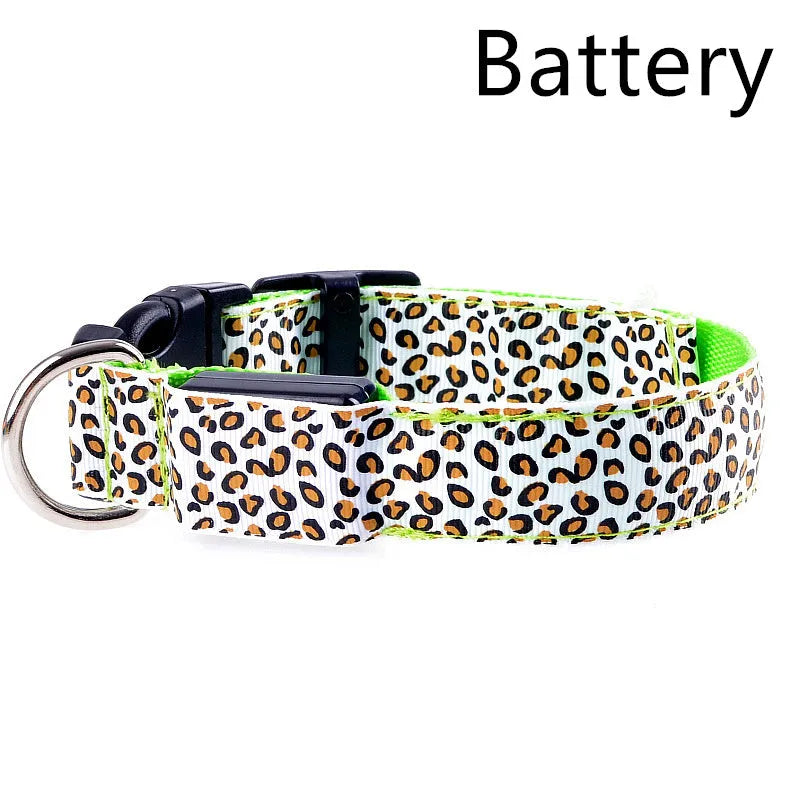 Rechargeable LED dog collar in nylon webbing with USB charging cable in blue colour