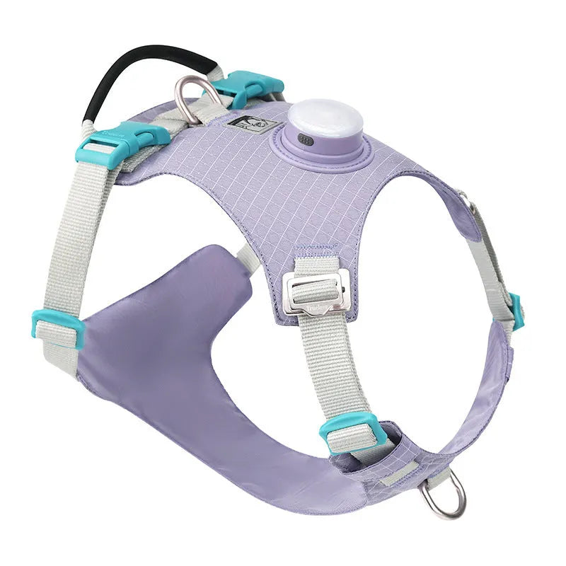 Nylon dog harness with LED light in multiple colours including light purple, green, black, orange, white, blue