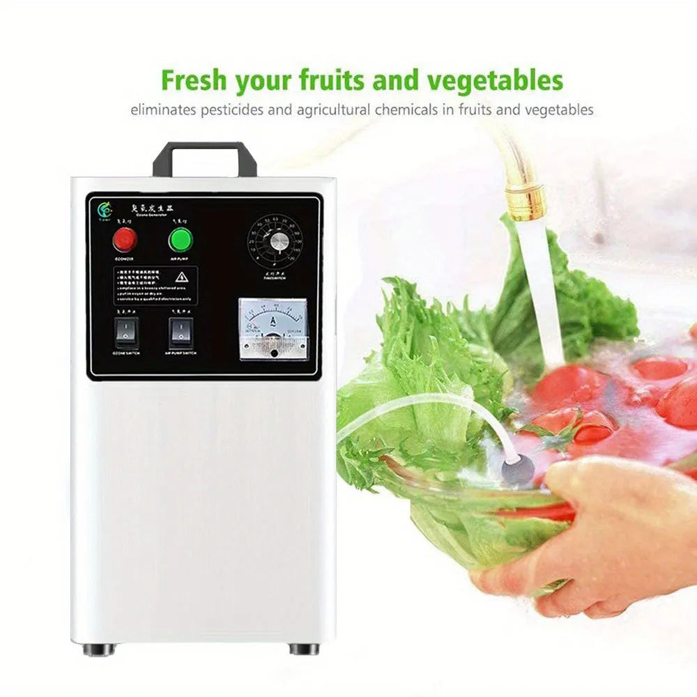 Fruit and vegetable ozone generator with stainless steel housing and 20g/h output capacity
