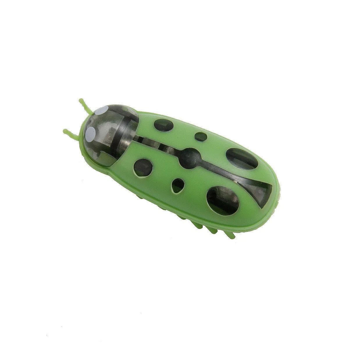 Electric bug cat toy with PVC construction and motorised walking legs for interactive pet play