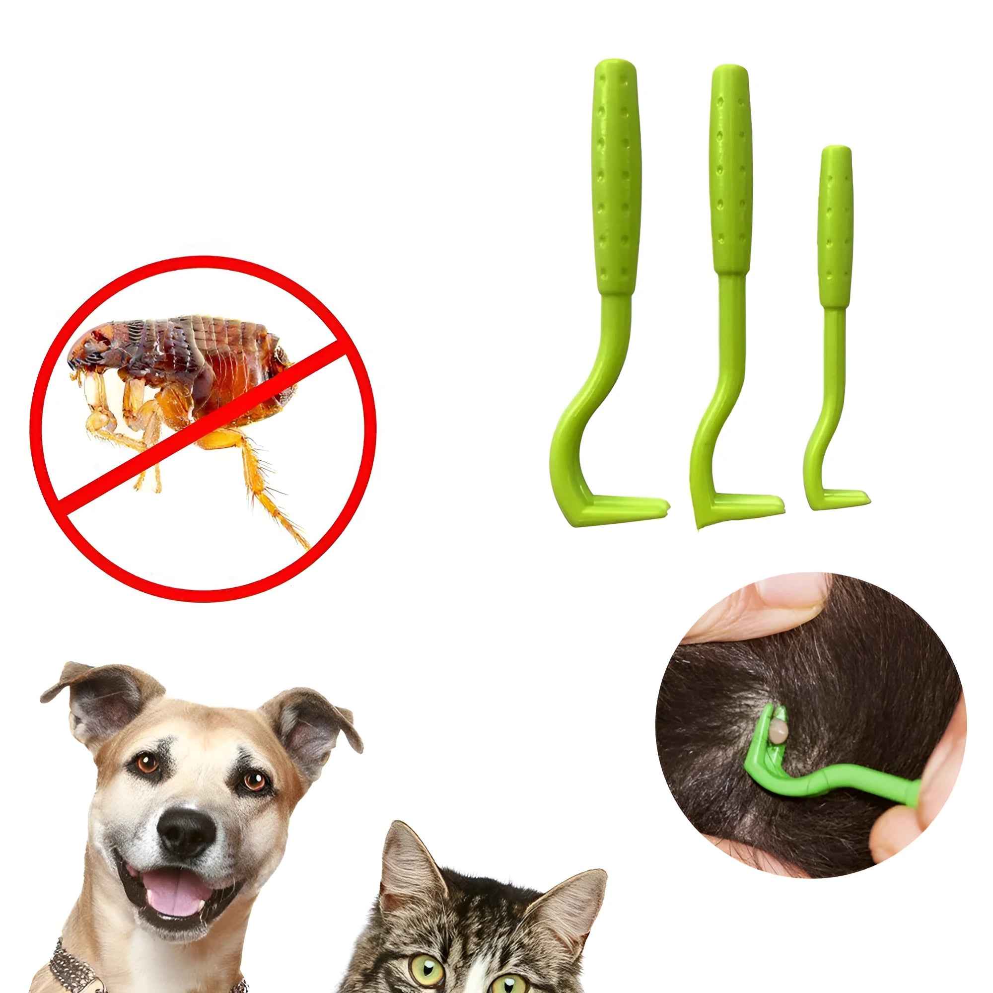 Three plastic tick removal hooks for pets in blue or green colours with alcohol application instructions
