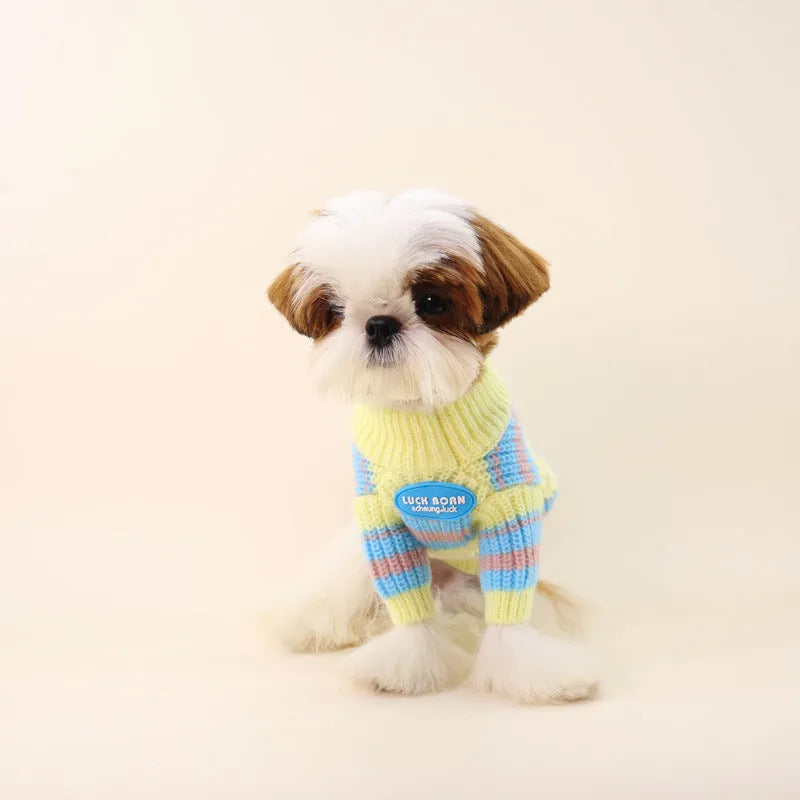 Blue and yellow stripe dog sweater for small breeds in wool material