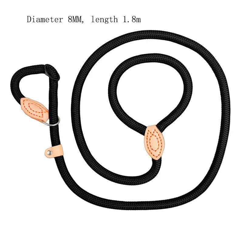Blast race training dog leash with automatic tightening nylon collar in multiple colour options.