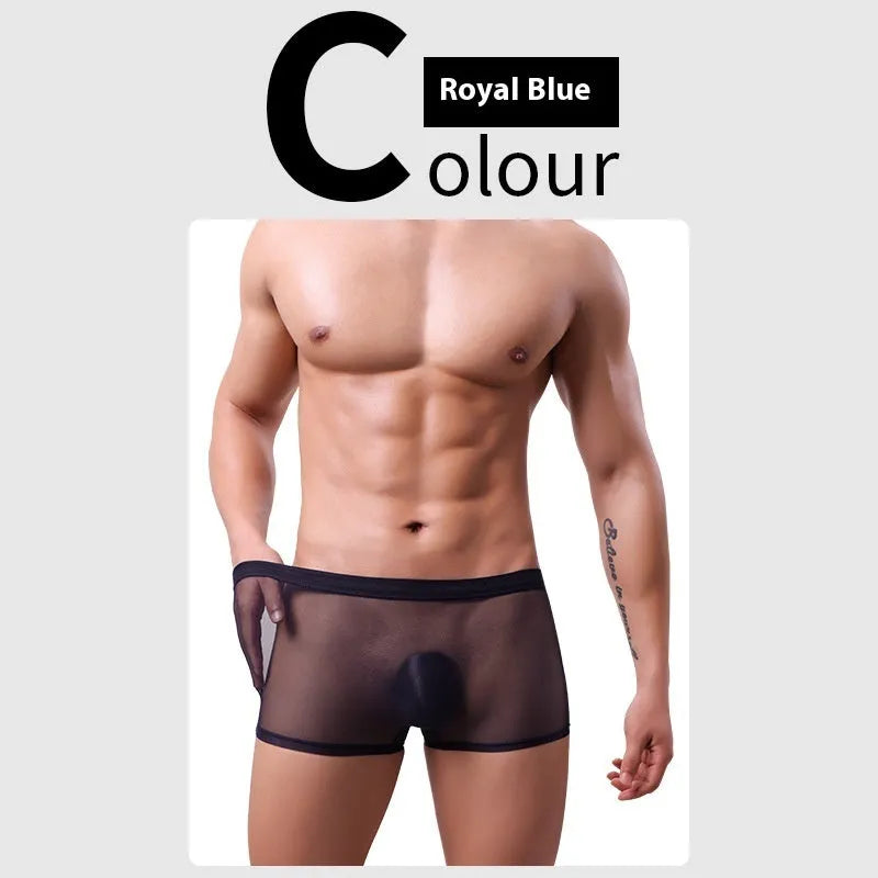 Men's mesh boxer briefs in breathable polyester fabric with low waist design