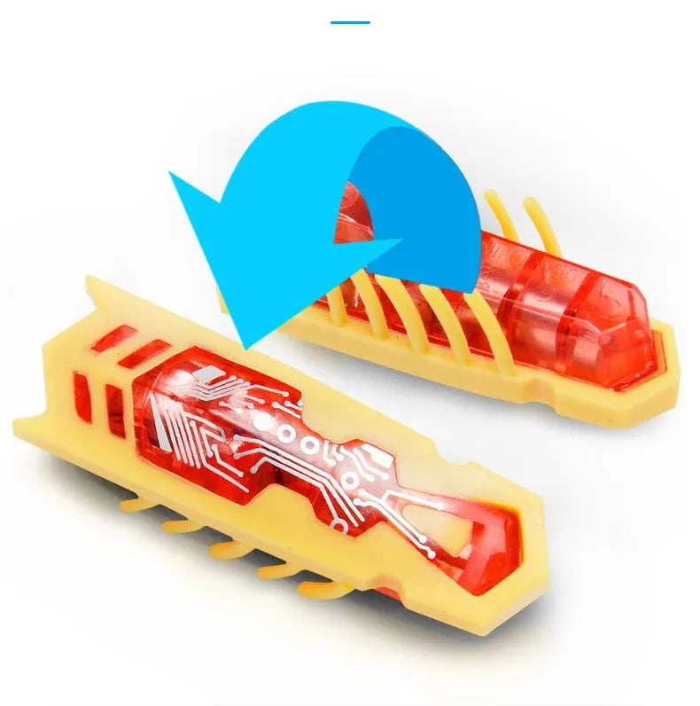 Electric bug cat toy with PVC construction and motorised walking legs for interactive pet play