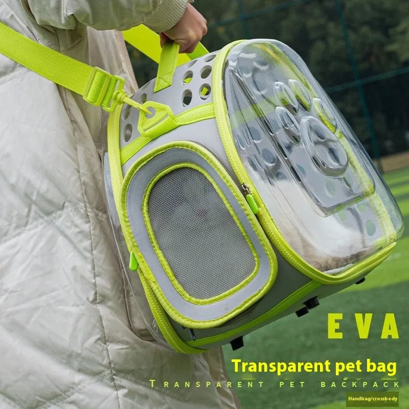 Transparent space capsule style backpack carrier for a cat, shown in lake blue colour, with hard EVA construction.