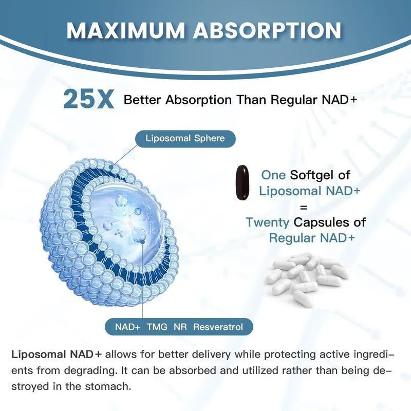 Nicotinamide mononucleotide gel capsules in bottle packaging with 60 or 120 piece options